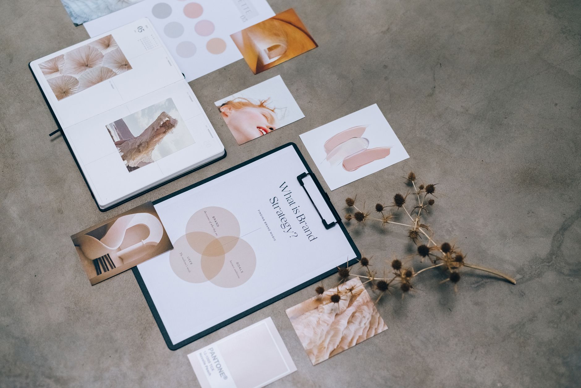 Brand identity material laid out on a studio desk